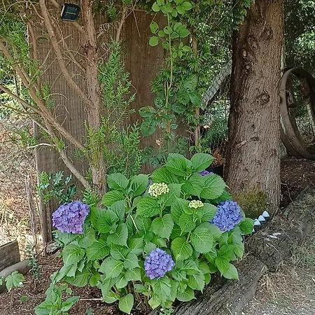 Casa Da Beira Rio בית הארחה