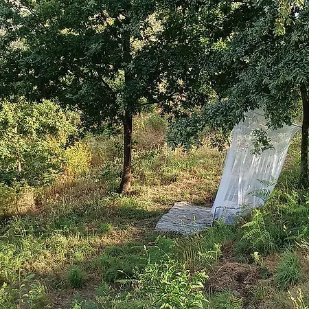 בית הארחה Casa Da Beira Rio 4*