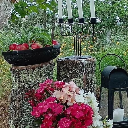 בית הארחה Casa Da Beira Rio Marco de Canavezes