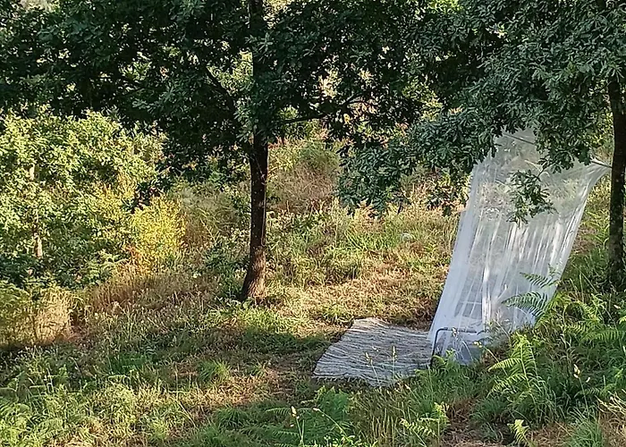 Affittacamere Casa Da Beira Rio 4*