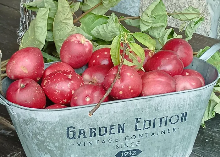 Casa Da Beira Rio Marco de Canavezes