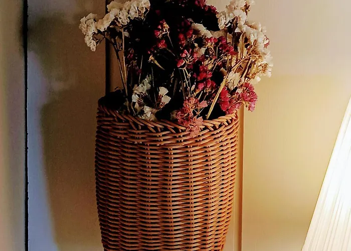 Casa Da Beira Rio 게스트하우스