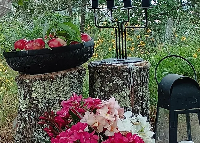 게스트하우스 Casa Da Beira Rio Marco de Canavezes